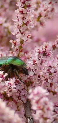 This phone live wallpaper showcases a green bug resting on a pink flower, with a goddess of spring in the background