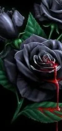This live wallpaper depicts black roses with blood dripping down the petals against a dark background