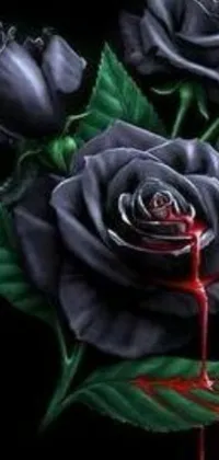 This live wallpaper depicts black roses with blood dripping down the petals against a dark background