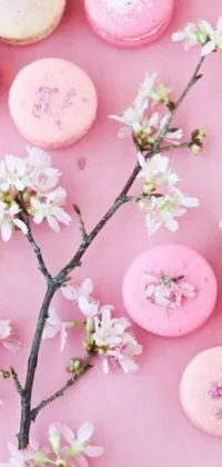 This phone live wallpaper showcases a beautiful assortment of macarons arranged neatly on a soft pink surface