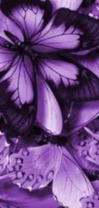 This phone live wallpaper features a group of elegant purple butterflies perched on a cozy bed