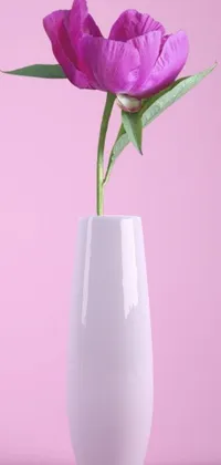 This phone live wallpaper features a purple flower in a white vase set against a vibrant pink background, all rendered with the highest quality 4K resolution thanks to the powerful OctaneRender software