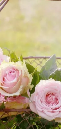 This phone live wallpaper features a charming basket full of pink roses on a green field background