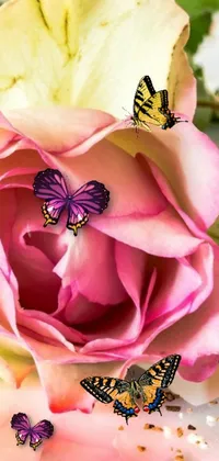This vibrant phone live wallpaper showcases a colorful flower with graceful butterflies hovering over it