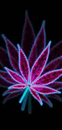 This live wallpaper for phones features a striking close-up of a marijuana leaf on a sleek black background