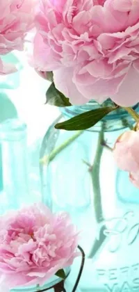 This phone live wallpaper is adorned with a stylish table that is decorated with an assortment of vases, each filled with beautiful pink flowers
