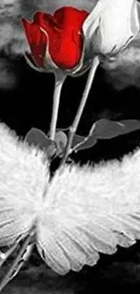 This phone live wallpaper features a black and white photo of two roses with wings