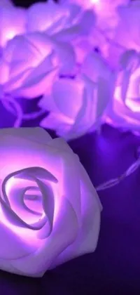 This lovely live phone wallpaper features purple roses, string lights, and accent lighting over a wooden table