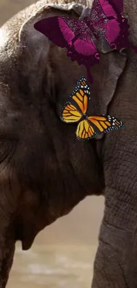 This phone live wallpaper features a stunning close-up of an elephant with a butterfly perched on its back, set against a beautiful background of blended pink and purple hues
