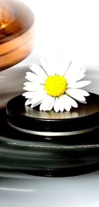 The ultimate phone live wallpaper features a minimalist artwork on a plate with a liquid metal and marble flower in perpetual motion