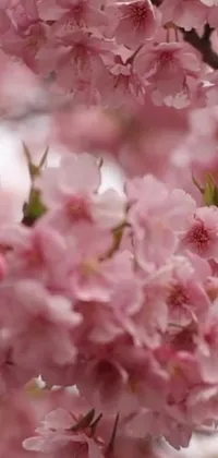 The Pink Flowers Live Wallpaper is a stunningly romantic addition to any mobile device