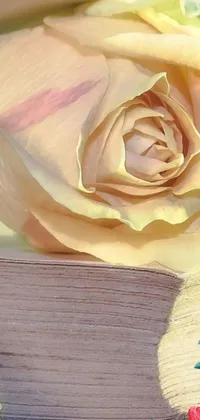Get ready to beautify your phone with this stunning live wallpaper that features a radiant yellow rose placed on top of a closed book