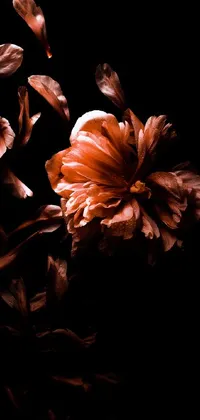 This live wallpaper for your phone is a beautiful digital painting of a flower in soft red tones, set against a black background