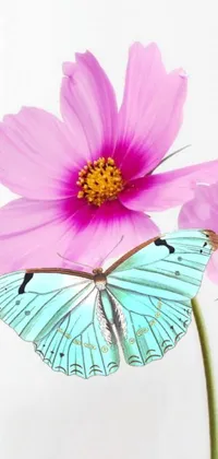 This beautiful phone live wallpaper displaying a blue butterfly perched on a pink flower is a true masterpiece