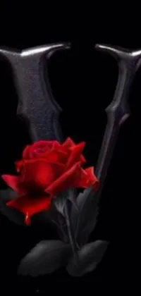 Upgrade your phone's look with this variety of live wallpapers! Choose from a beautiful red rose on a black background, a trident, urban fantasy romance book cover, and much more! You'll also get a scenic sunset with palm trees and a beach, a cute staring kitten, a galaxy of stars and planets, a minimalistic geometric design, a 3D rendering of a car on a highway, and a vibrant abstract pattern