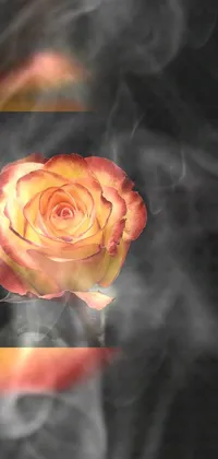 This live wallpaper for your phone features a detailed digital art rendering of a flower with swirling smoke, adding a touch of magic and romance