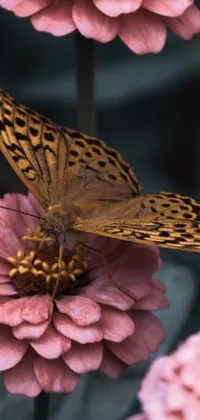 Add a whimsical touch to your phone screen with this live wallpaper featuring a beautiful butterfly resting on a delicate pink flower