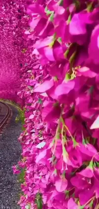This phone live wallpaper features a detailed hyperrealistic scene of a train traversing through a vibrant green forest