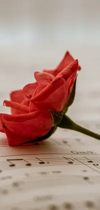 This phone live wallpaper features a stunning red rose resting on top of beautiful sheet music