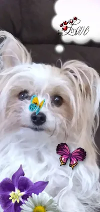Looking for a phone live wallpaper that brings some pop art charm to your device? Check out this cute image featuring a small white dog with a butterfly on its nose! The playful design is perfect for social media lovers, with an Instagram/Snapchat Story feel and even some colorful emojis included