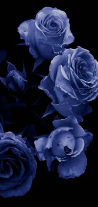 This live wallpaper for your phone features an eye-catching digital rendering of blue roses against a black background