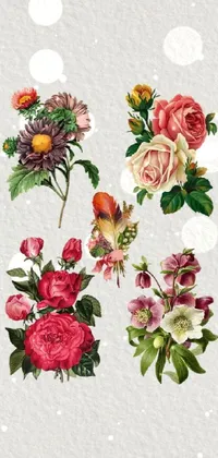 Flower Plant Petal Live Wallpaper