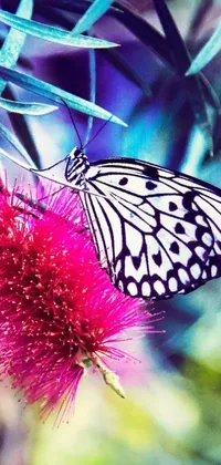 This live wallpaper features a close-up of a butterfly on a flower, a trending photo in the style of pop art