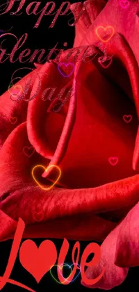 This Valentine's Day live wallpaper features a stunning red rose with elegant cursive writing reading "Happy Valentine's Day" below it