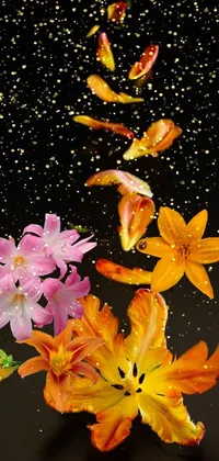 Flower Plant Petal Live Wallpaper