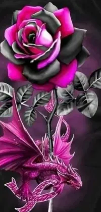 This live wallpaper for your phone showcases a captivating black background, featuring a striking pink rose accompanied by a fierce dragon, in an intricate gothic art style