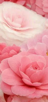 This Pink Flowers Phone Live Wallpaper features an eye-catching close-up view of stunning pink flowers, rendered in beautiful digital art