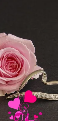 Love is in the air Live Wallpaper