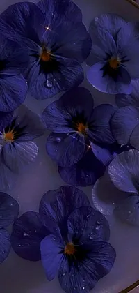 Blue Flowers Live Wallpaper is a breathtaking phone wallpaper featuring stunning blue flowers that appear to be floating in a bowl of water