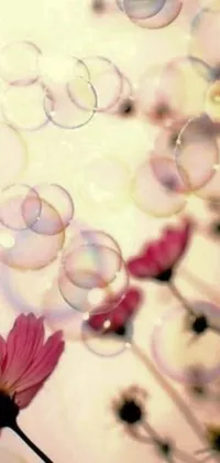 This phone live wallpaper showcases a floral scene with dazzling bubbles floating in the backdrop