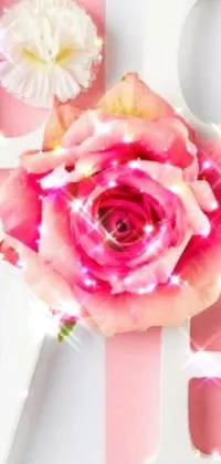 Add a touch of beauty and elegance to your phone with this stunning pink rose live wallpaper