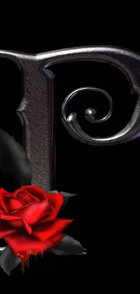 This live phone wallpaper features a vivid close-up of a red rose against a black background, with intricate details highlighted