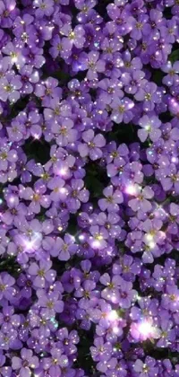 This live phone wallpaper showcases a vivid close up of a cluster of purple flowers against a background of shimmering sparkles