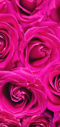 rose Live Wallpaper