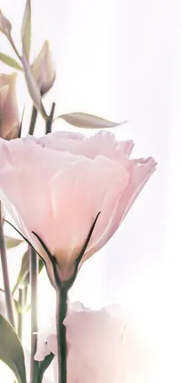 This stunning live wallpaper boasts a vibrant pink flower in a vase that is rendered digitally for maximum effect