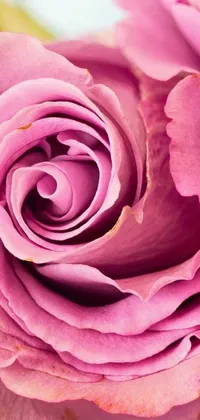 If you are looking for a stunning live wallpaper for your phone, look no further than this exquisite macro photograph of a pink rose in a vase