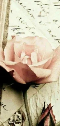 Enhance your phone's aesthetic with this charming live wallpaper featuring a delicate pink rose resting on a vintage book