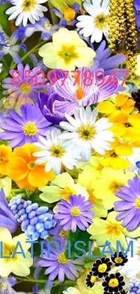 This mobile live wallpaper showcases a close-up of a colorful and breathtaking bunch of flowers