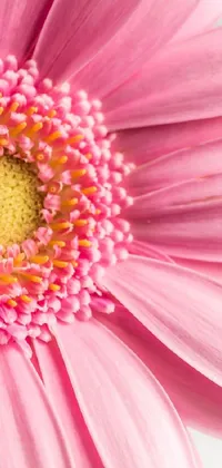This phone live wallpaper features a stunning close-up of a pink flower on a white surface