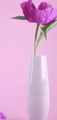 The minimalistic phone live wallpaper showcases a gorgeous white vase holding a striking purple flower against a soft pink backdrop