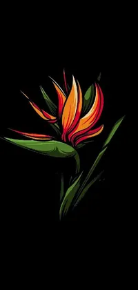 This live phone wallpaper depicts a bird of paradise flower against a black background