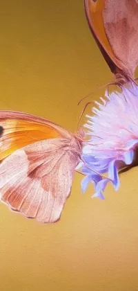 Feast your eyes on this breathtaking phone live wallpaper featuring a close-up image of a butterfly on a flower