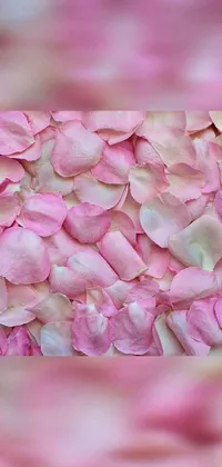 This phone live wallpaper features a bunch of pink petals creating a beautiful visual effect with a roses background