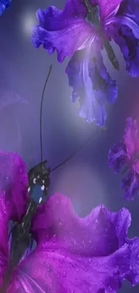 This phone live wallpaper showcases a stunning digital art piece featuring a bug relaxing on a purple flower