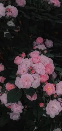This live wallpaper showcases a beautiful bush filled with pink flowers and green leaves that sway gently in the breeze