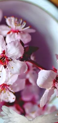 Enjoy a stunning live wallpaper for your phone featuring a plate filled with intricate flowers